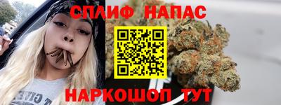 ECSTASY Новодвинск