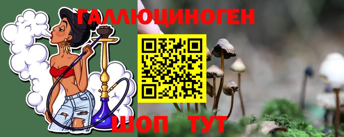 как найти закладки  Псилоцибиновые грибы Psilocybine cubensis  Вход с VPN  Севастополь 